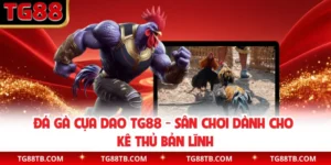 Gà Cựa Dao TG88 - Sân Chơi Dành Cho Kê Thủ Bản Lĩnh