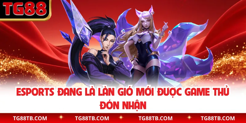 Esports TG88 đang là làn gió mới được game thủ đón nhận