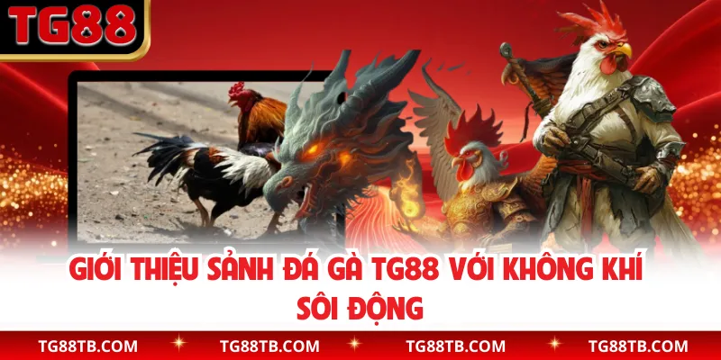 Giới thiệu sảnh đá gà TG88 với không khí sôi động