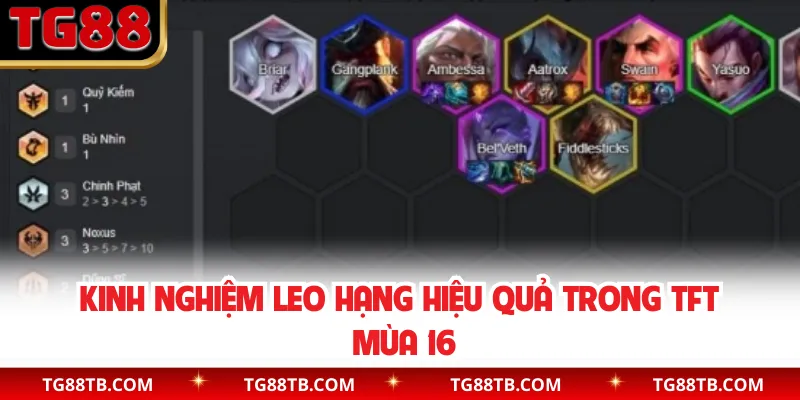 Kinh nghiệm leo hạng hiệu quả trong TFT mùa 16